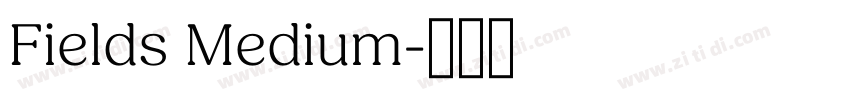 Fields Medium字体转换
